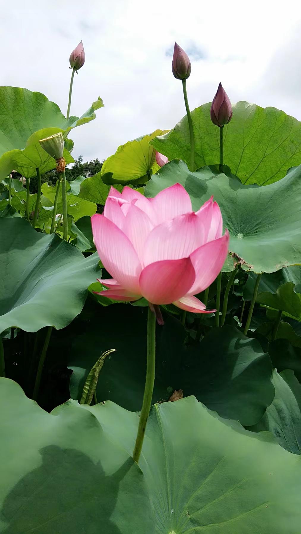 http://www.tfvpl.cn/hsdt/221.html