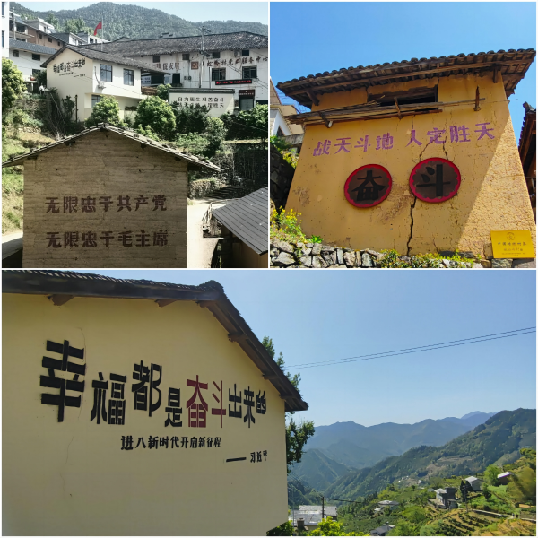 http://www.tfvpl.cn/hsdt/234.html